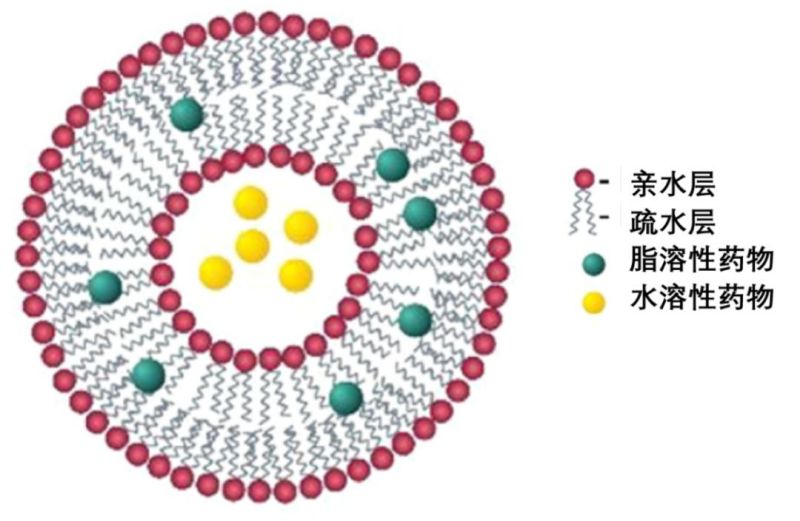 分析方法 | 脂質體藥物生物樣品分析的挑戰