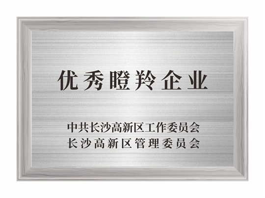 優秀瞪羚企業